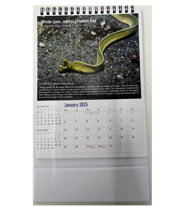 2025 Calender