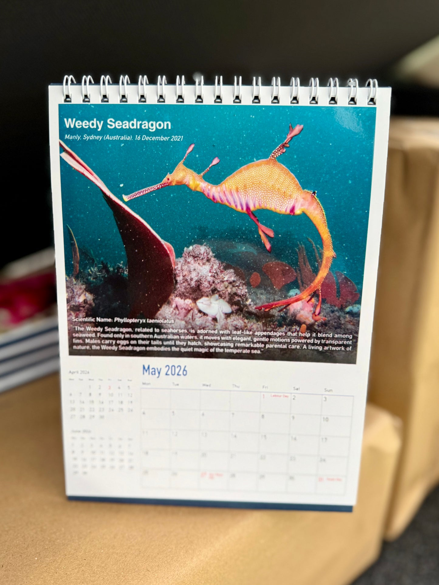 2026 Underwater World Calendar by Daniel Kwok