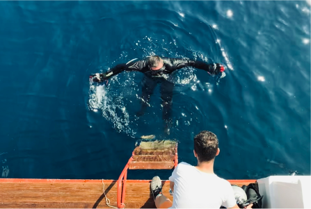 Top 5 Scuba Destinations for Beginners