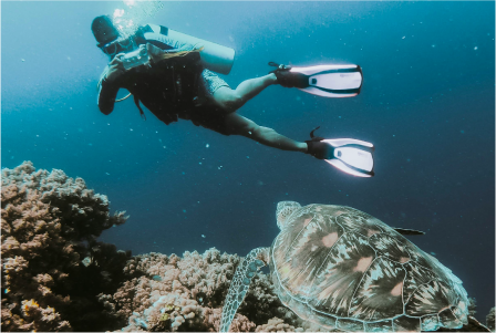 What to Expect in Your First Scuba  Diving Lesson