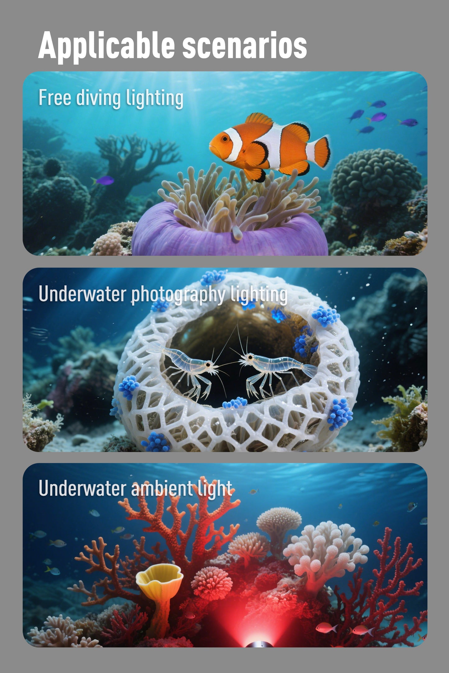 DIVEPRO M35 V3 Torch