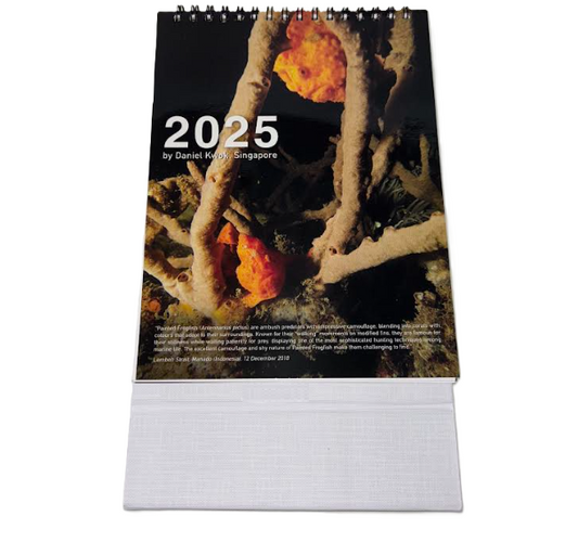 2025 Calender