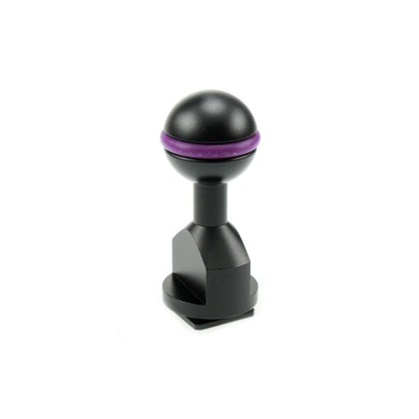 Special Collection - i-Das Ball Base