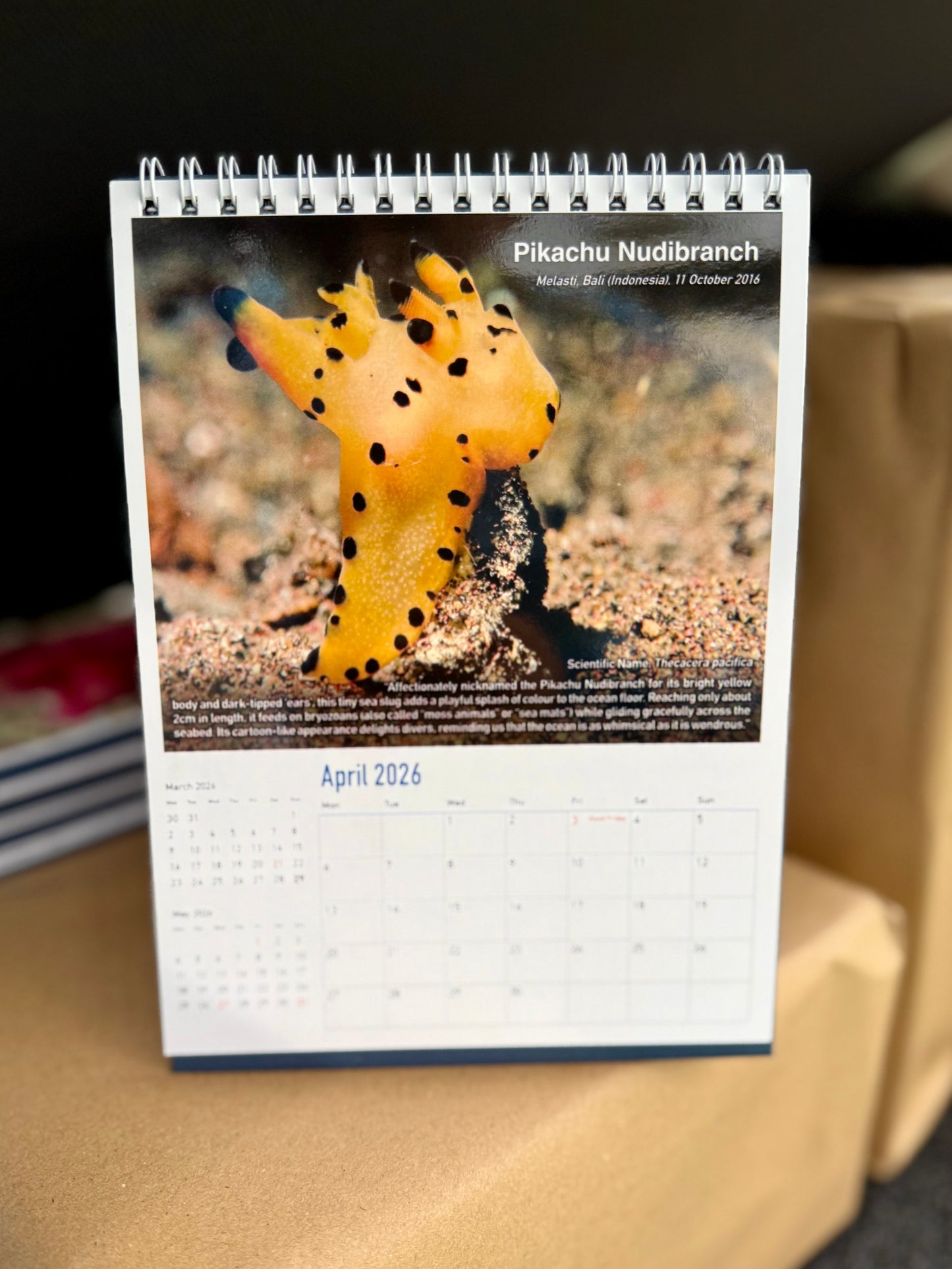2026 Underwater World Calendar by Daniel Kwok