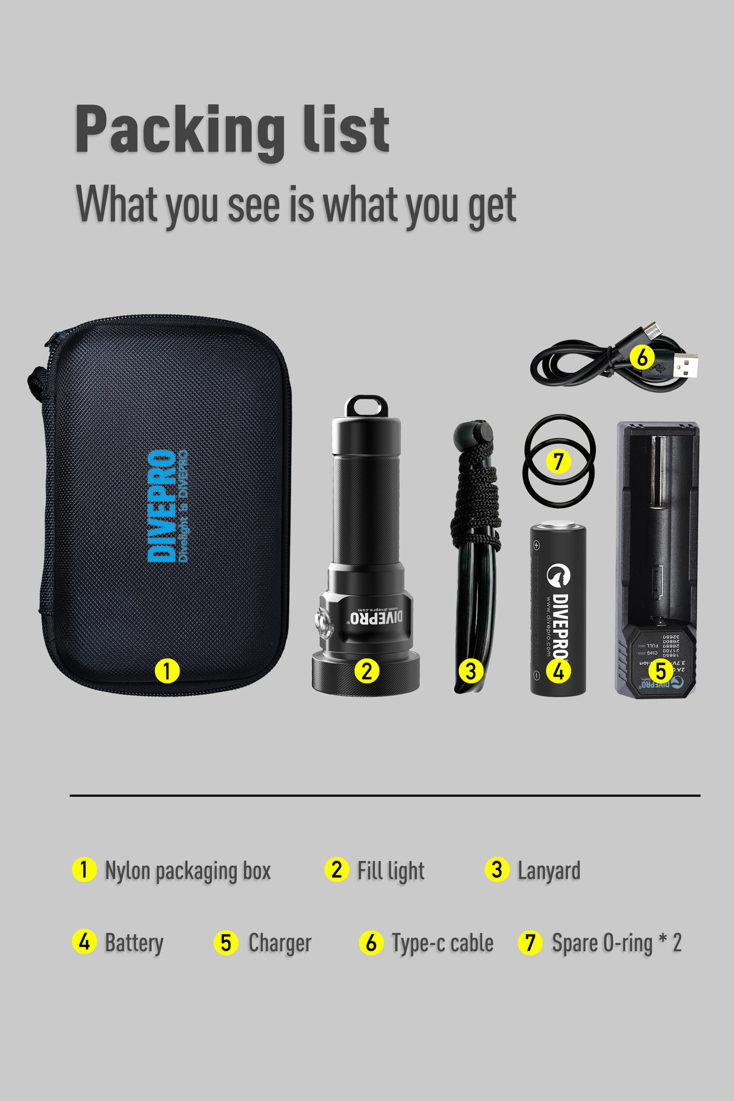 DIVEPRO M35 V3 Torch