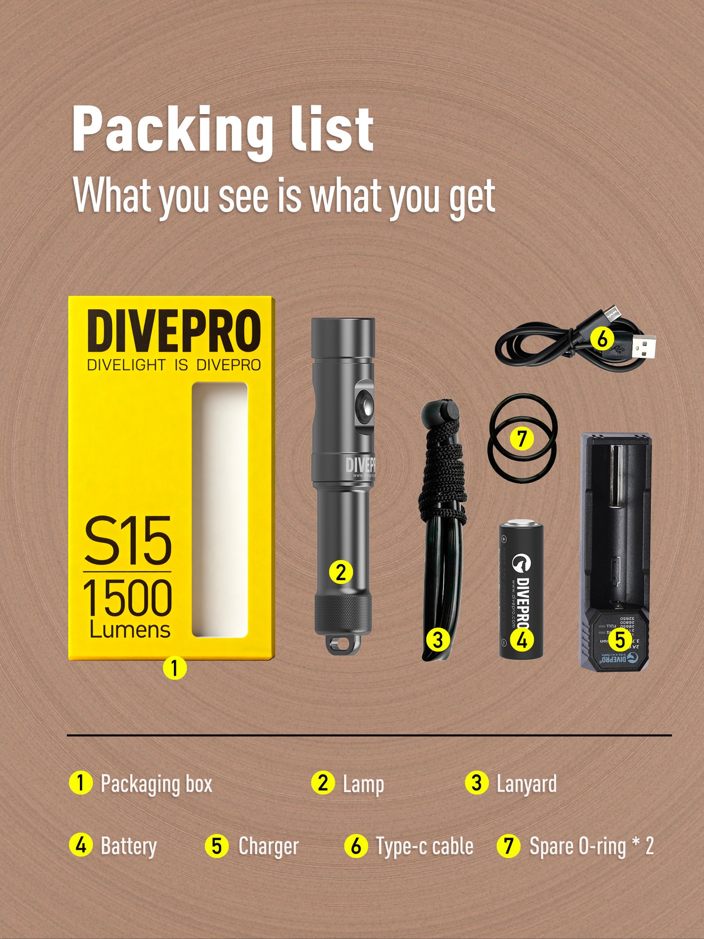 DIVEPRO S15 Torch