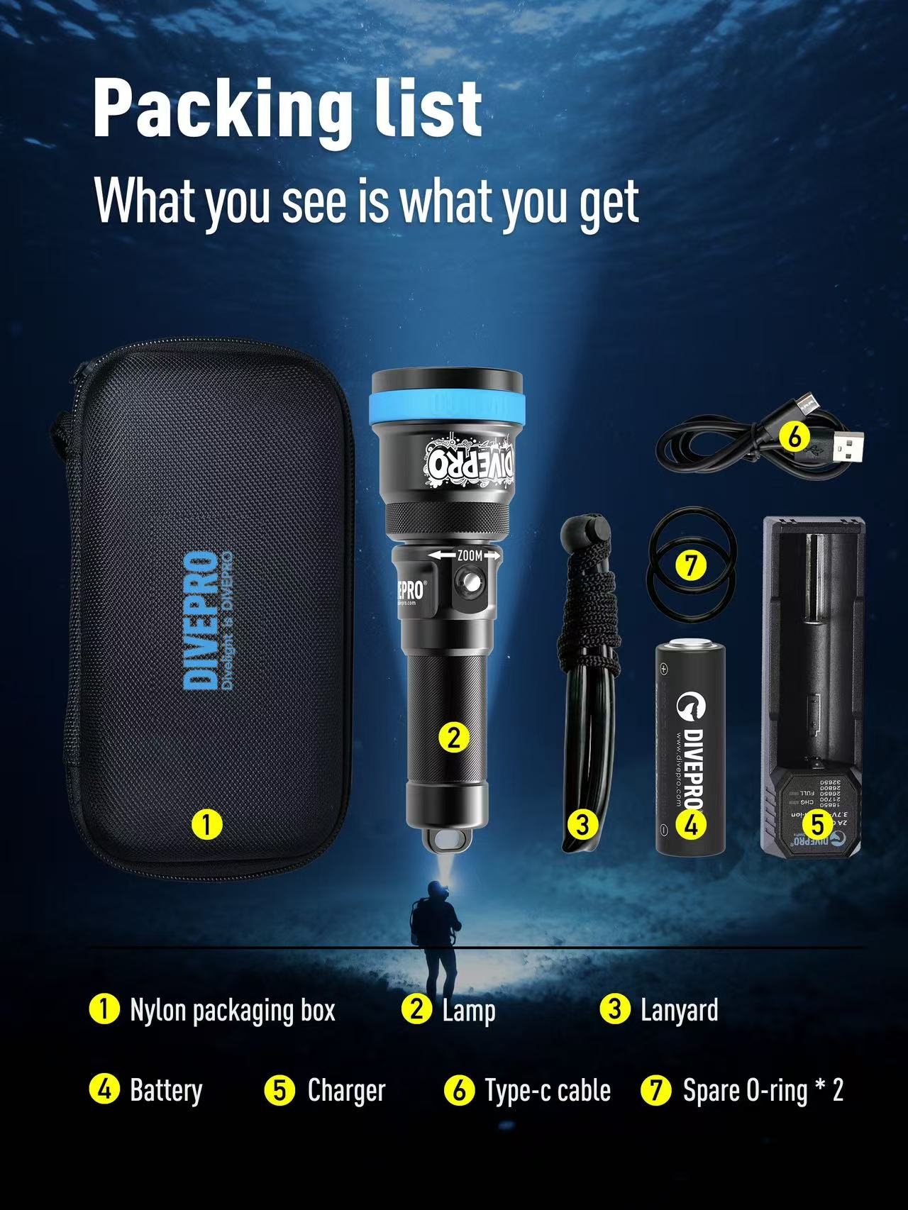 DIVEPRO S30Z Torch