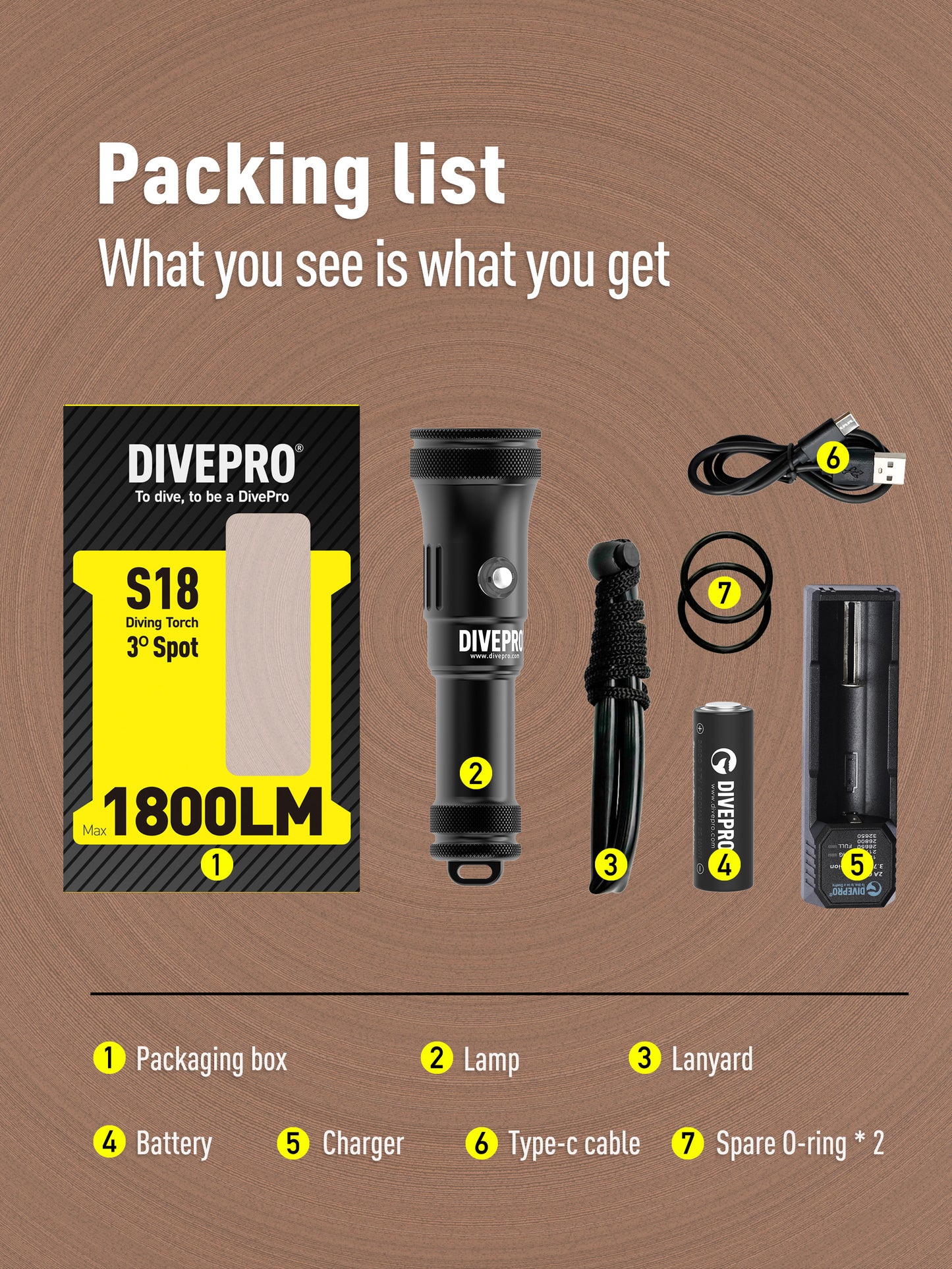 DIVEPRO S18 Torch