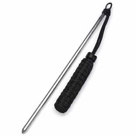 Pointer With Lanyard