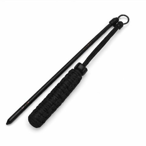Pointer With Lanyard