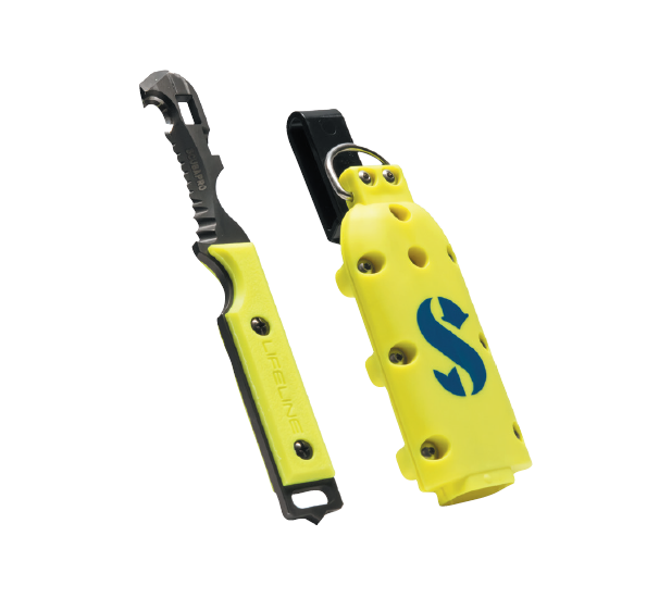 24d29a_7440d7028a9a4d889521add8acea1638~mv2.png